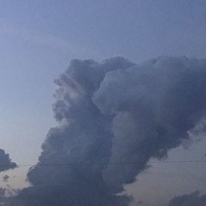 Meet your Posher, Cheryl